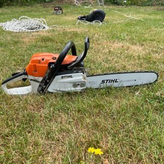 baumfällung ruhrgebiet bäume fällen durch firma fachbetrieb