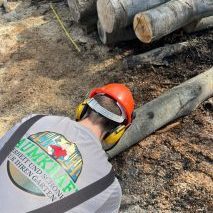 baumfällung baumpflege ruhrgebiet und umgebung mit Sitz in der Stadt Herne