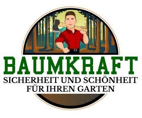 baumfällung baumdienst recklinghausen bäume fällen baumpflege