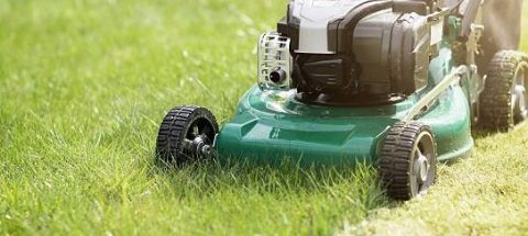 gartenpflege rasenmähen firma ruhrgebiet